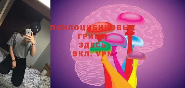 индика Абдулино