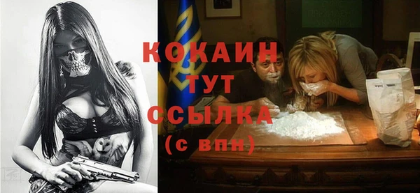 индика Абдулино