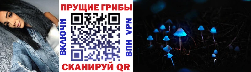 Псилоцибиновые грибы прущие грибы  Смоленск 